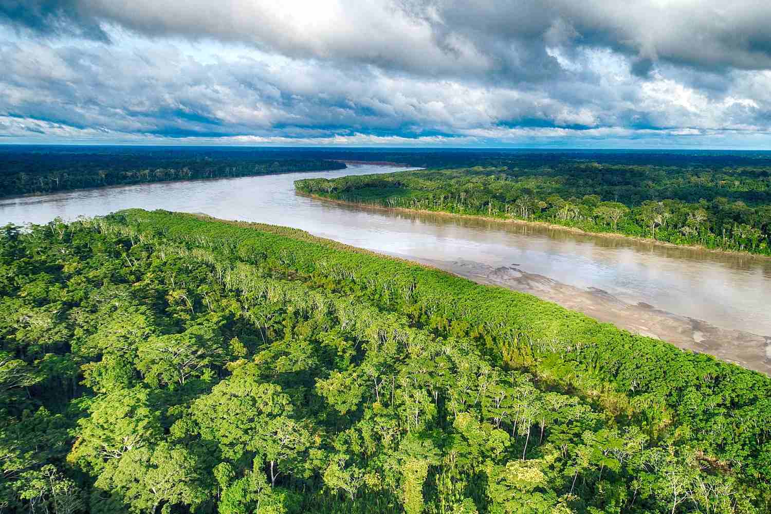 Tour Ecológico Tambopata: 3 Días y 2 Noches en la Amazonía Peruana